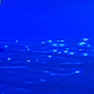 Meet your Posher, Jayde